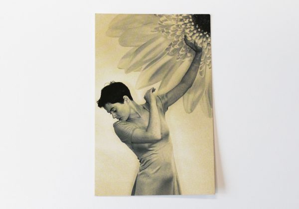 The front of the 'Metamorphoses' postcard